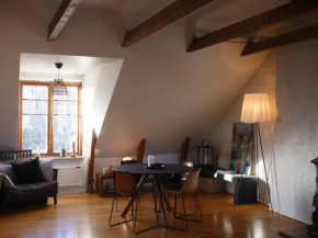 Spacious Penthouse close to center Stockholm
